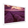 thumbnail image 2 of Designart 'Dramatic Clouds and Sunrise Over Lavender Field III' Farmhouse Framed Art Print, 2 of 4