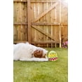 thumbnail image 3 of Midlee Plush Easter Egg Dog Toy with Squeaker (Green)-Large, 3 of 7