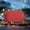 Red Deals, variant on up to 65% off karymi Bluetooth 5.3 Speaker Mini Portable Card Insertion Radio RGB Dazzling Light Effect Large Speaker Stereo Sound Effect Bluetooth Speaker Weekly flyer Gifts for Mom