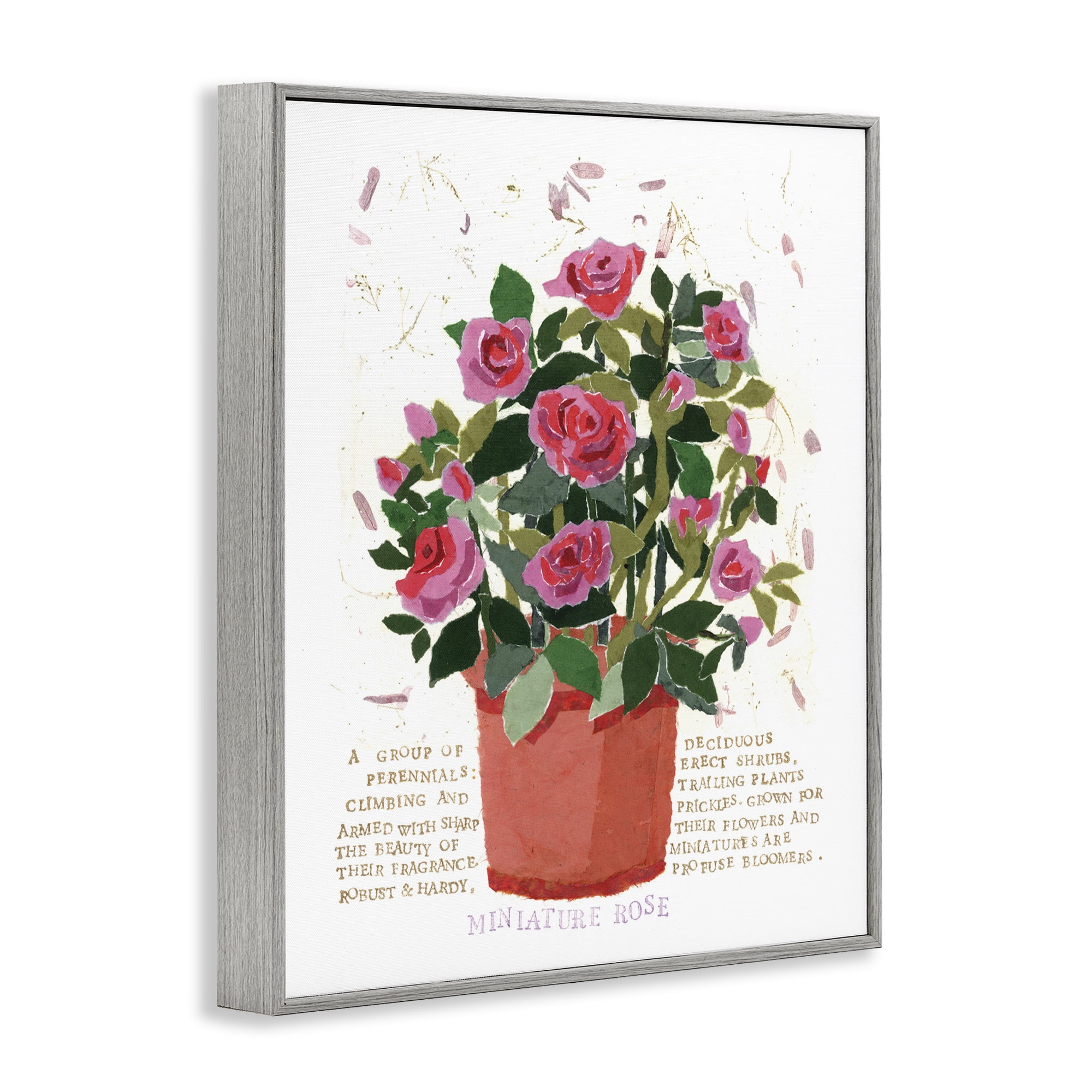 Stupell Industries Mini Roses Bouquet Botanical & Floral Painting Gray Framed Art Print Wall Art, 11 x 14