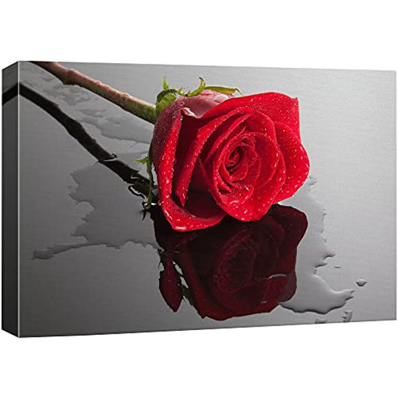 wall26 - Art Mural sur Toile - Gros Plan de Fleurs de Rose Rouge Fraîches avec Gouttes d'Eau - Impression Giclée Enveloppe de Galerie Étirée Prêt à Accrocher-16"x24 Pouces