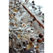 Angle View: Peel-n-Stick Poster of Ice Winter Freezing Freezing Rain Icy Frozen Poster 24x16 Adhesive Sticker Poster Print