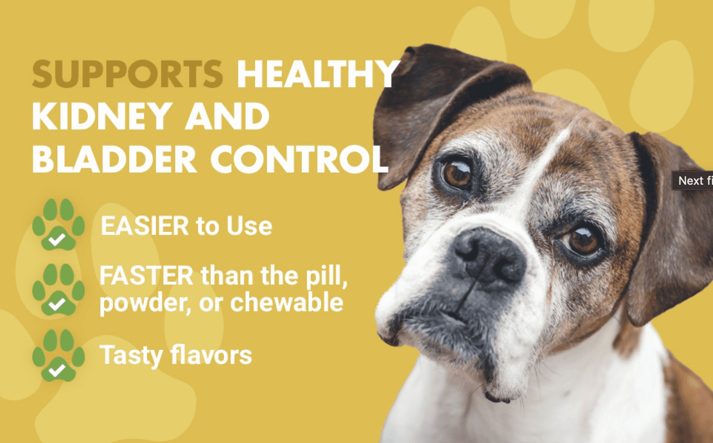 Liquid-Vet® K9 Kidney & Bladder Wellness Supplement for Dogs, Bacon Flavor, 16 fl oz