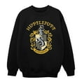 thumbnail image 1 of Harry Potter Boys Gryffindor Cotton Sweatshirt, 1 of 6