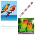 thumbnail image 2 of BESTYASH Stainless Steel Parrot Play Stand and Perch Stick Set for Pet Birds - Bird Cage Accessory, 2 of 7