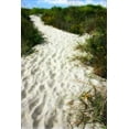 thumbnail image 2 of Hausenflock, Alan 11x14 White Modern Wood Framed Museum Art Print Titled - To the Beach II, 2 of 4