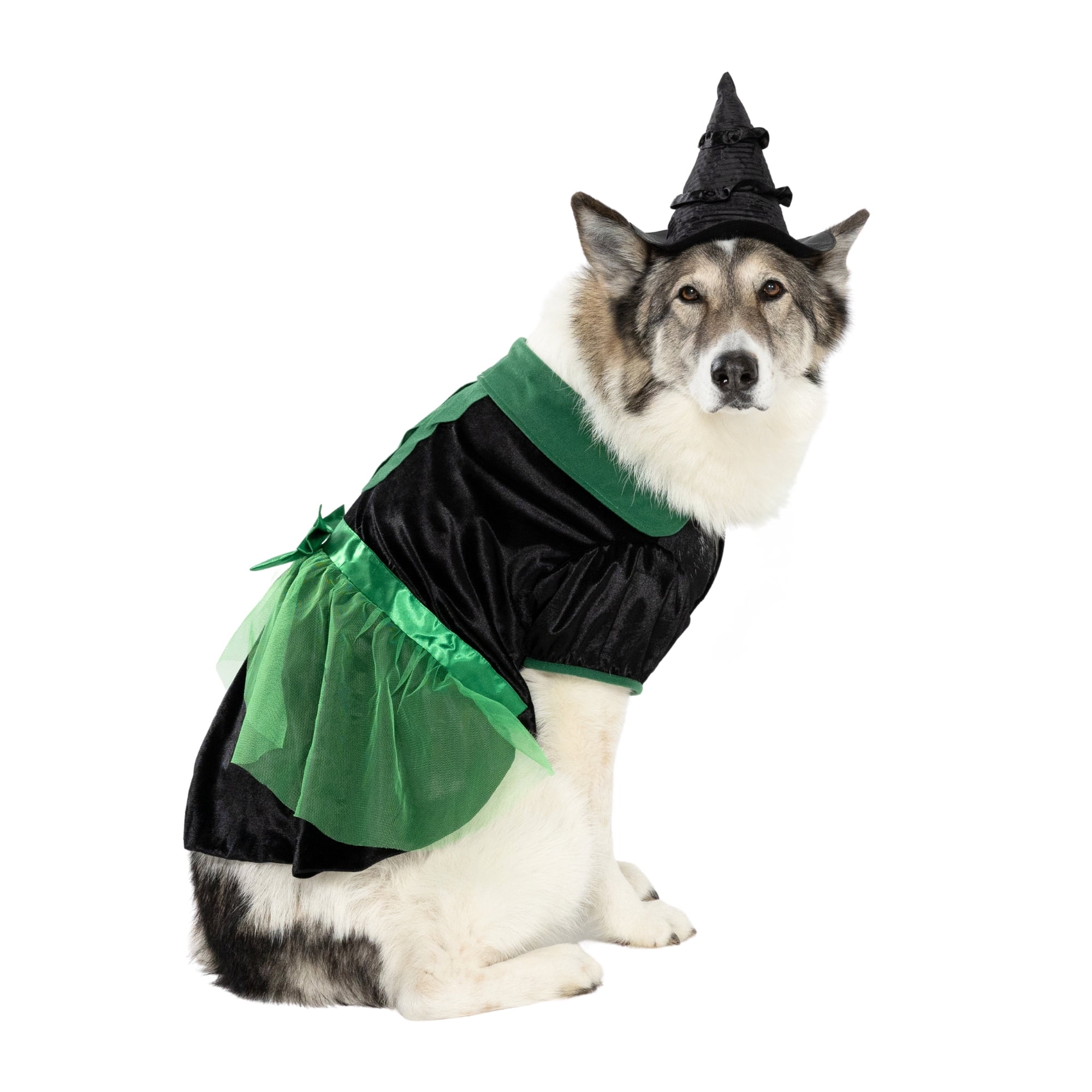 Vibrant Life Halloween Bad Witch Costume for Dogs, Green and Black, Extra Large