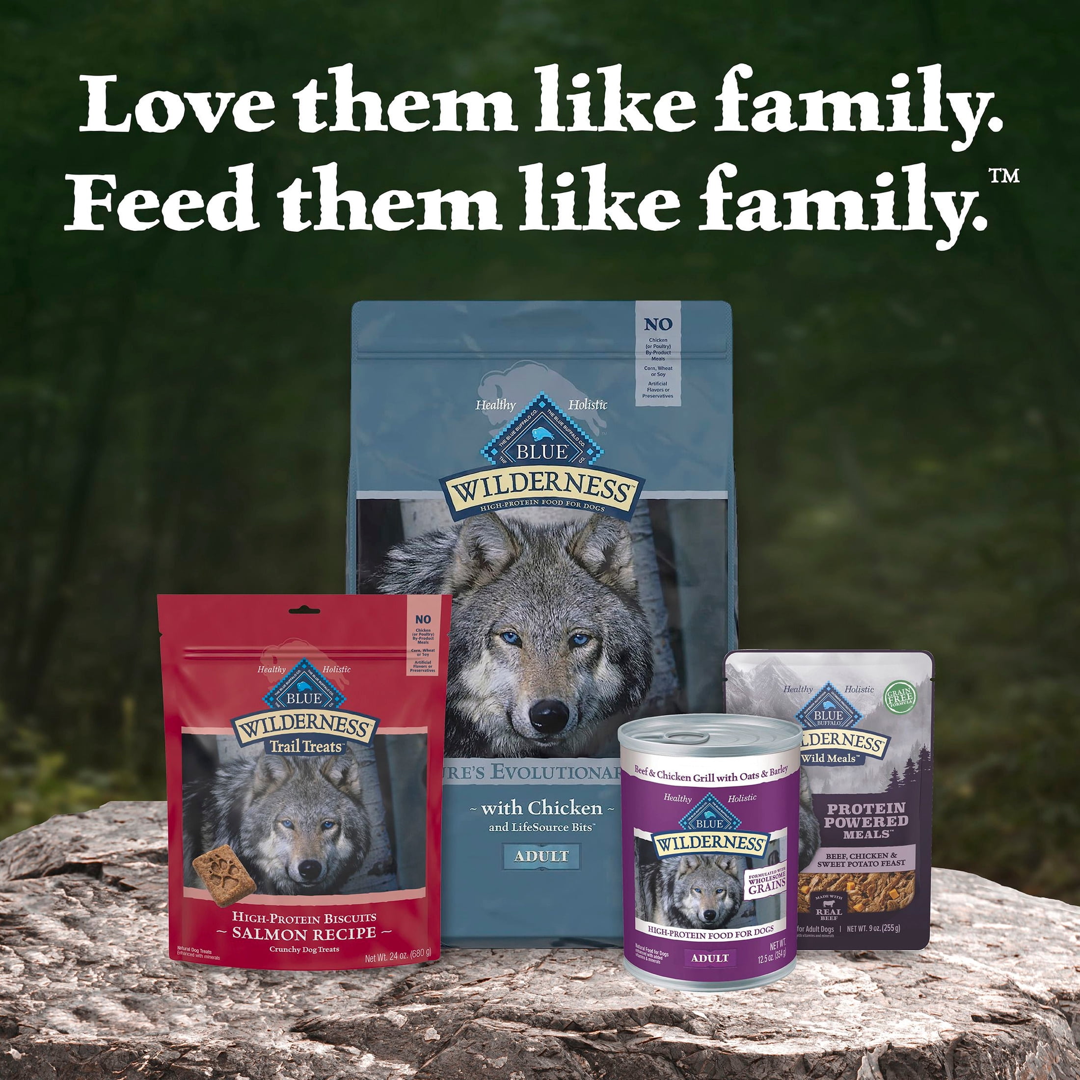 Blue Buffalo Wilderness Wild Meals High-Protein Adult Wet Dog Food, Beef, 9 oz.