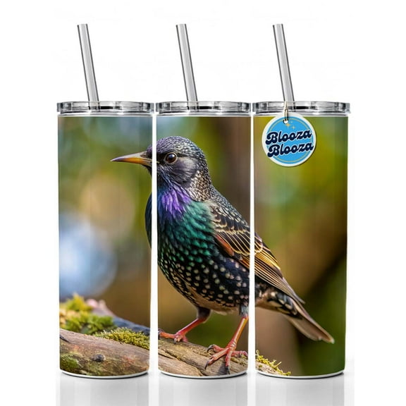 Starling Backyard Bird 20oz Insulated Water Bottle Skinny Tumbler Includes Straw