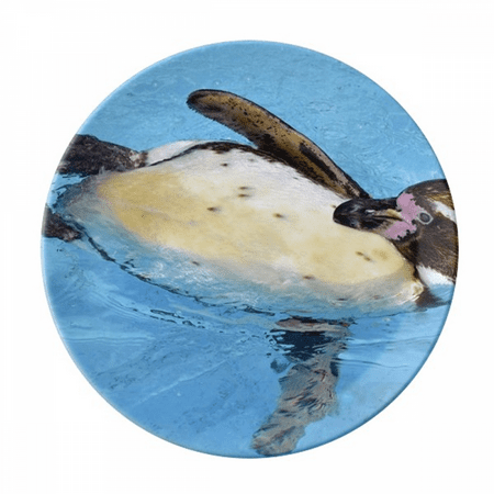 

Swimng Antarctic Penguin Science Nature Picture Plate Decorative Porcelain Salver Tableware Dinner Dish
