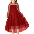 thumbnail image 1 of XDZJLR Girls Dress Spring Long Sleeved Mesh Princess Tutu Pleated Solid Color Casual Clothing, 1 of 4