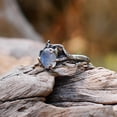 thumbnail image 5 of Metal Tree Leaf Ring Decor With Electroplated Finish For Elegant Home Table Centerpiece And Birthday Gift Idea, 5 of 6