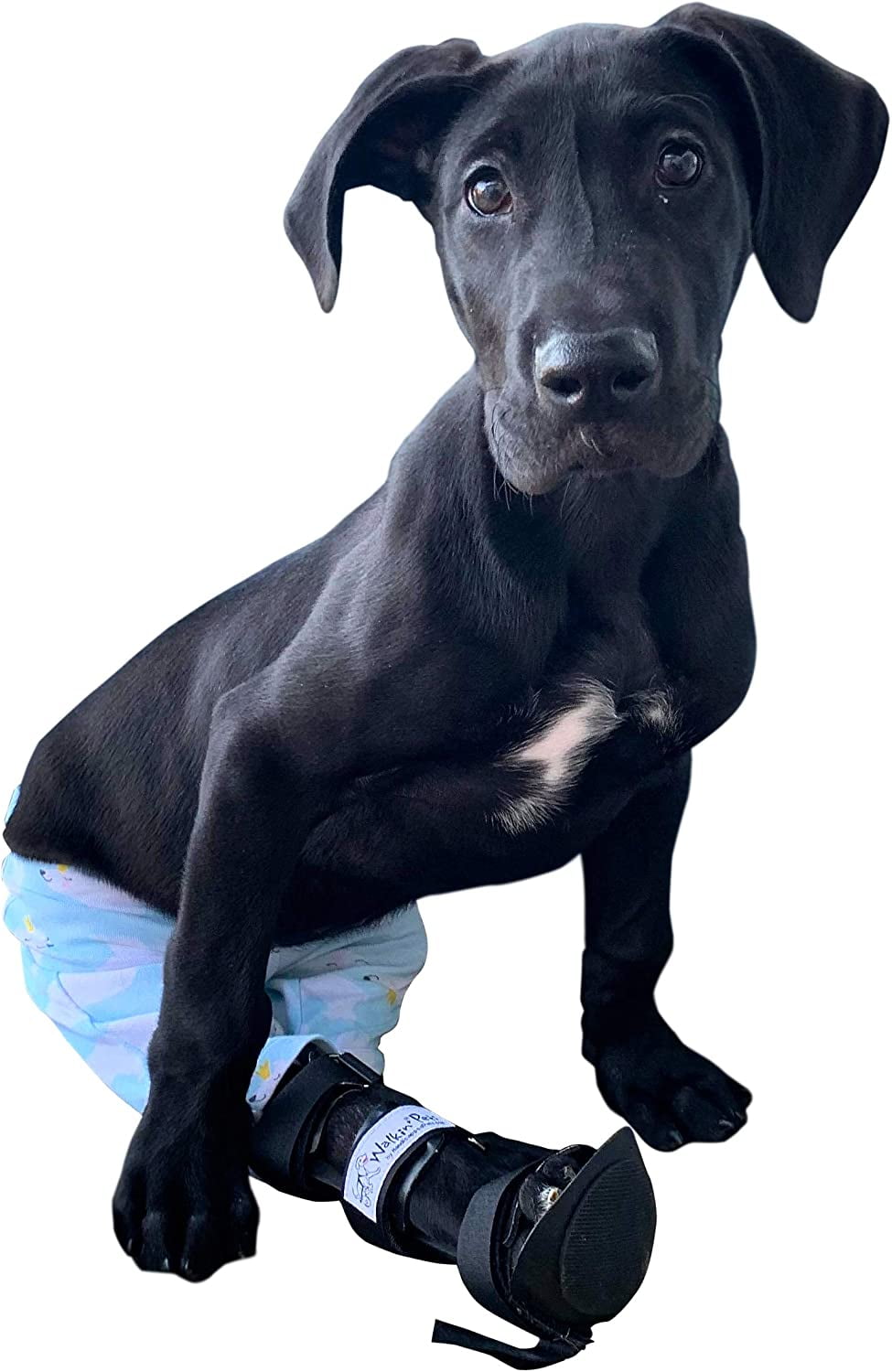 Walkin Pet Splint For Dogs Canine Rear Foot Splint Medium Walmart Com