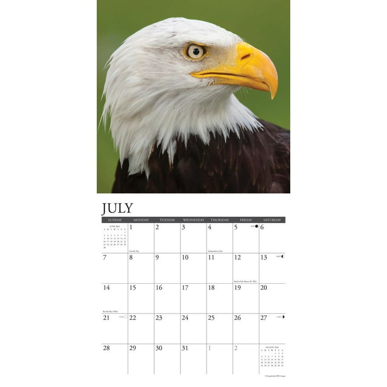 Eagles 2024 12 X 12 Wall Calendar (Other) - Walmart.com