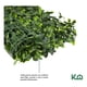 thumbnail image 4 of Follaje Artificial Sintetico Muro Verde 60x40cm Hoja Grande verde, 4 of 7