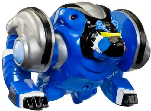 bossa nova robotics inc