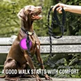thumbnail image 5 of Strong Dog Leash Pet Leashes Reflective Leash for Big Small Medium Dogs Leash Drag Pull Tow Golden Retriever Dog Accessories, 5 of 5