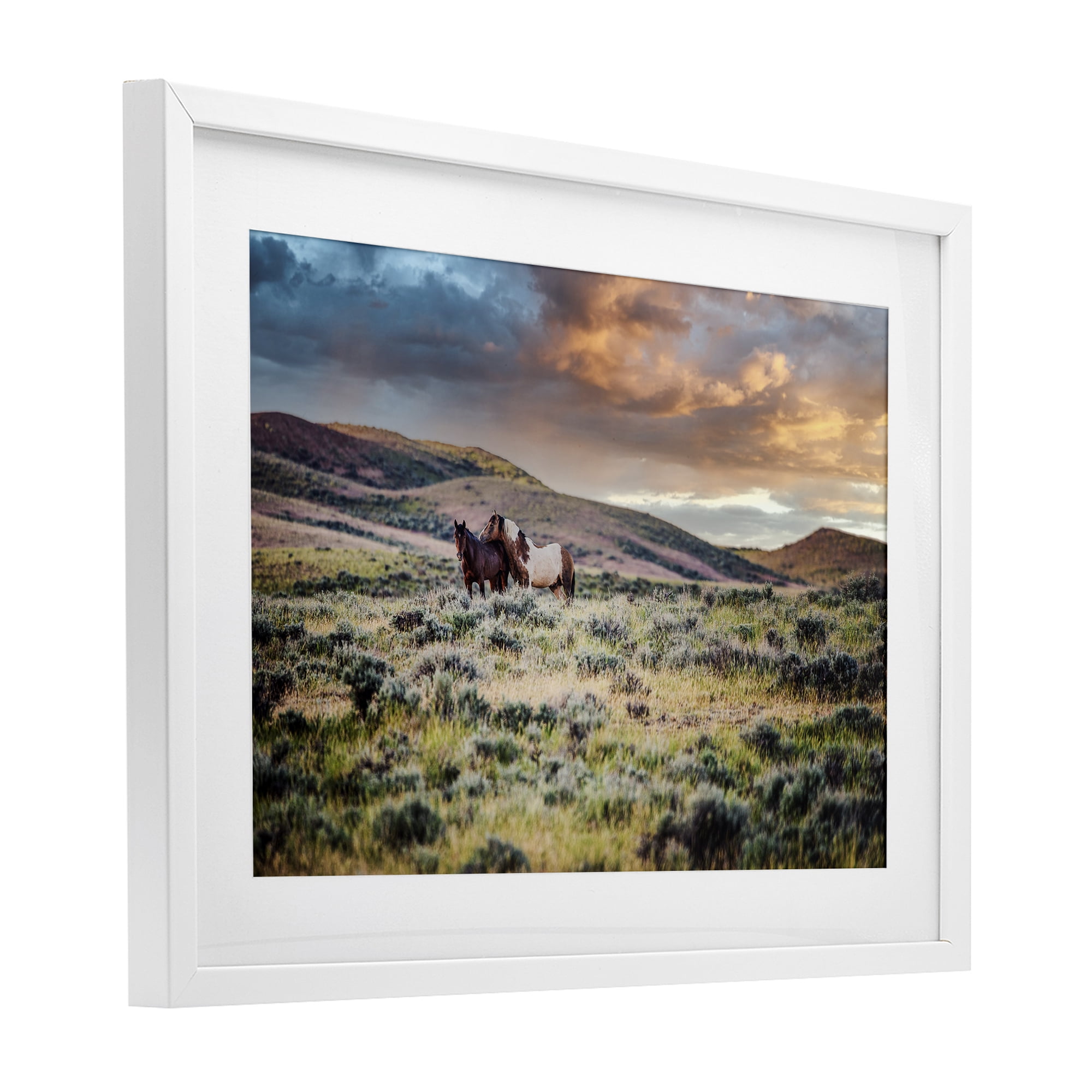 Stupell Industries Stay Close Horses White Framed Print Under Glass, design by Tim West