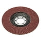 thumbnail image 5 of Discos de aleta de abrasivos de óxido de aluminio para muela abrasiva surtida de 20 piezas, 5 of 8