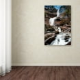 thumbnail image 4 of Trademark Fine Art "Katerskill Fall" Canvas Art by David Ayash, 4 of 4
