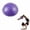 Purple, variant on BESTSKY Exercise Ball,6.3"*6.3"*3.15" Birth Ball,Anti-Slip Texture Pregnancy Ball,Green