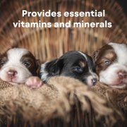 PetAg Milk Replacer Liquid for Dogs and Puppies, 32 fl oz