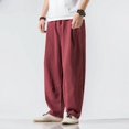 thumbnail image 5 of Pantalones holgados para hombre, estilo harén, de lino, estilo hip hop, holgados, estilo coreano, para otoño e invierno, 2024, 5 of 5