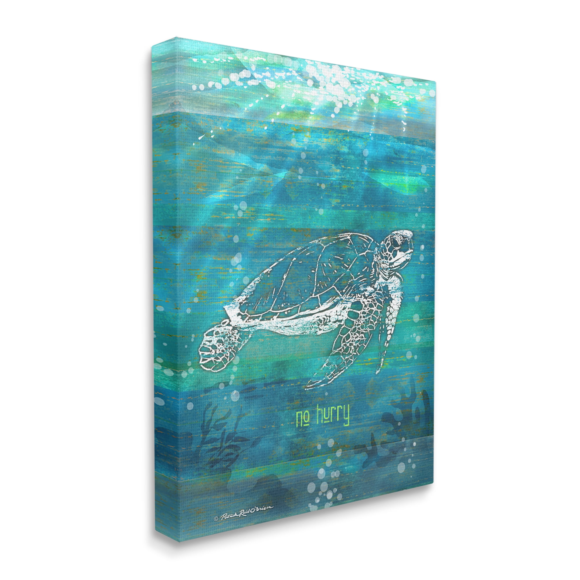Stupell Industries No Hurry Turtle Phrase Animals & Insects Painting Gallery Wrapped Canvas Print Wall Art, 24 x 30
