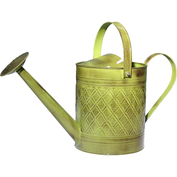Robert Allen Home and Garden Wexley 2-Gallon Watering Can