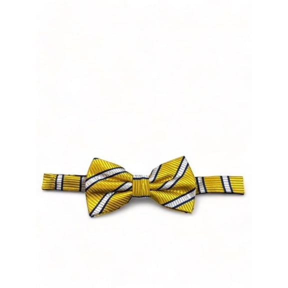 Yellow and Blue Striped Silk Bow Tie and Pocket Square
