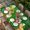 Dark Green, variant on St. Patrick's Day Table Cloths for 5 Foot Rectangle Tables, Green Gnomes Gold Coin Beer Shamrock Stripes Patio Waterproof Elastic Fitted Tablecloths, Washable Rectangular Table Cover for Camping