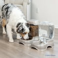 thumbnail image 2 of Petmate Pet Café Gravity Waterer Water Bowl Station for Dogs and Cats, 3 gallon, Blue Silver, 2 of 10