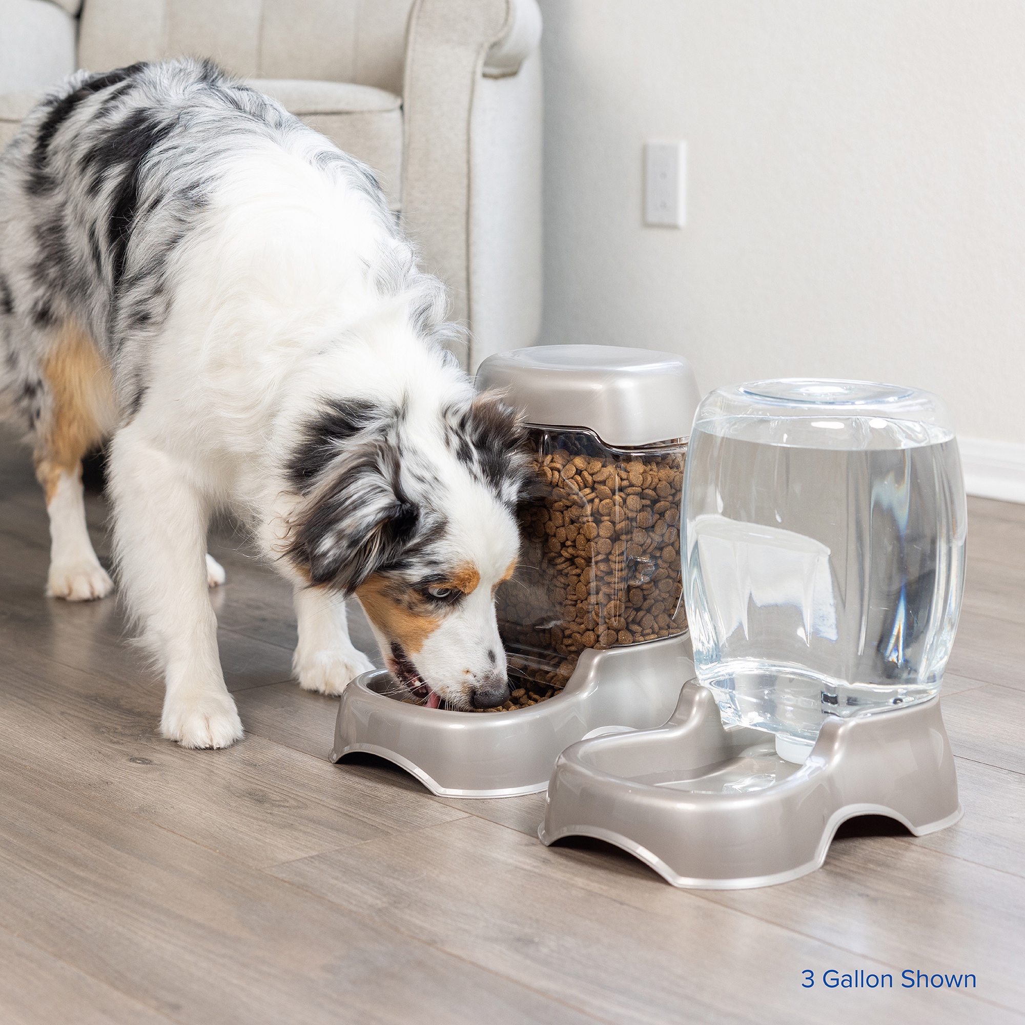Petmate Pet Café Gravity Waterer, 3-Gallon, Blue and Silver photo 2
