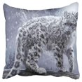 thumbnail image 1 of BOSDECO Housse de Coussin Décorative Yeux Bleus Léopard Tacheté Noir 18x18 Pouces, 1 of 1