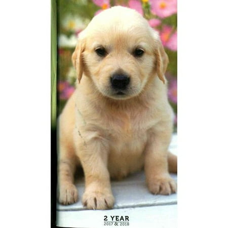 Golden Retriever Puppy 2017 2018 2 Year Pocket Calendar Golden Retriever Puppy 2017 2018 2 Year