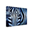 thumbnail image 2 of Trademark Fine Art 'Blue Zebra' Canvas Art by Cherie Roe Dirksen, 2 of 3