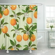 Libin Green Vintage Pattern Citrus Fruits Digital Oranges Book Shower Curtain 66x72 inch