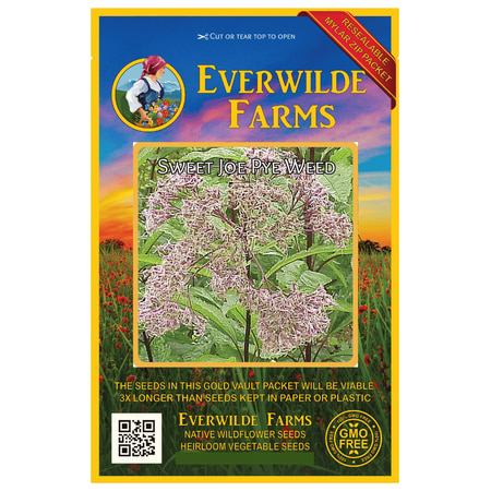 Everwilde Farms - 800 Sweet Joe Pye Weed Native Wildflower Seeds - Gold Vault Jumbo Bulk Seed