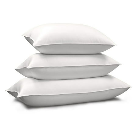 Blue Ridge Home Fashions Down Bed Pillow