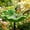 Green, variant on Handmade Metal Flower Garden Stakes Bird Bath, 23in Outdoor Bee Water Feeder and Pollinator Station, Multi Functional Wild Bird Feeder Bowl Tray for Yard Patio Decoration