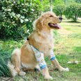 thumbnail image 1 of Protector de Codo para Perro Soporte para Piernas de Perro Ropa para Cachorros Soporte Ajustable para la Pierna Delantera del Perro con Banda Elástica Cómodo de Llevar ANGGREK  Otros, 1 of 8
