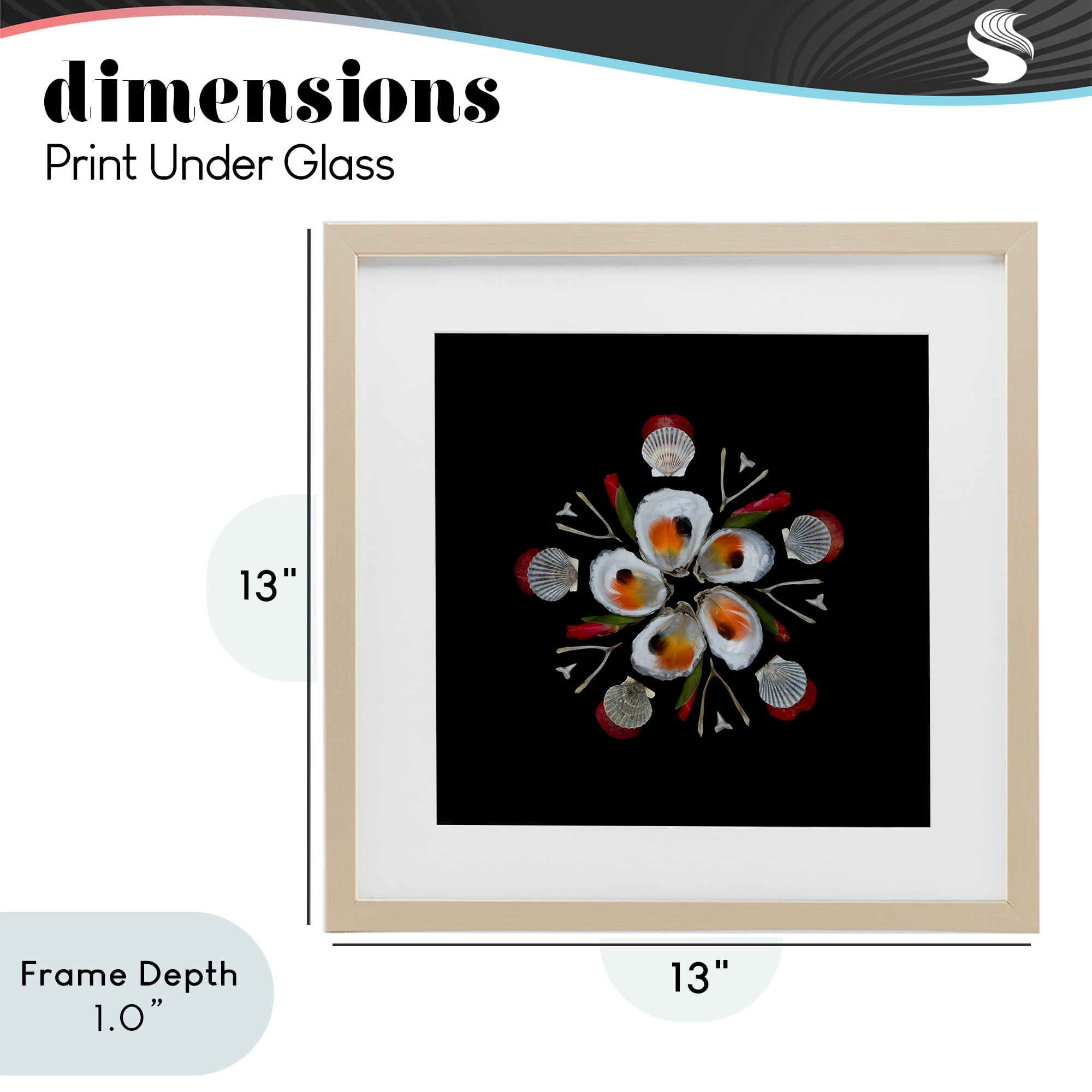 Stupell Industries Nautical Oysters Mandala Birch Framed Print Under Glass, design by Beth Adoette