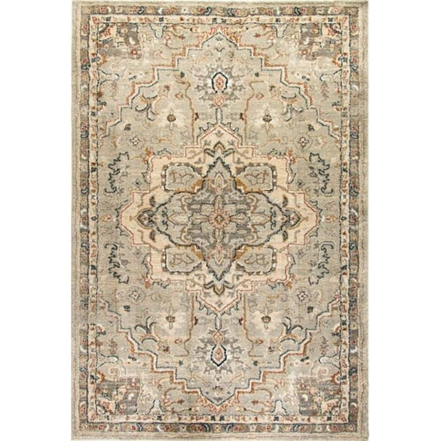 Dynamic Rugs EV10144770510 Evolution Rugs, Light Gray - 9.2 x 12.10 in.