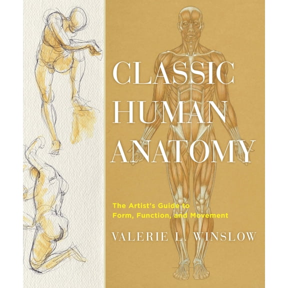 Pre-Owned Classic Human Anatomy: The Artist's Guide to Form, Function, and Movement, 9780823024155, 0823024156, Hardcover,