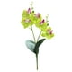 thumbnail image 1 of Plantas artificiales de plástico, vegetación, flores para exteriores, 1 of 2