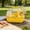 Yellow, variant on Portable Hamster Cage, Clear View Small Pet Carrier with Ventilation, Travel Habitat for Hamsters Gerbils Mice, Secure Outdoor Picnic Vet Visit Transport Cage