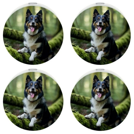 

Night Lights Plug Into Wall [4 Pack] Night Light for Kids LED Nightlight with Dusk to Dawn Sensor for Bathroom Decor Children Room Dog Animal Border Collie