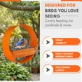 thumbnail image 6 of Mosaic Birds Bistro Bird Feeder - Premium Metal Bird Feeder, Chew-Proof, Weather & Water Resistant, 16.9oz, 1 Piece, Orange, 6 of 7