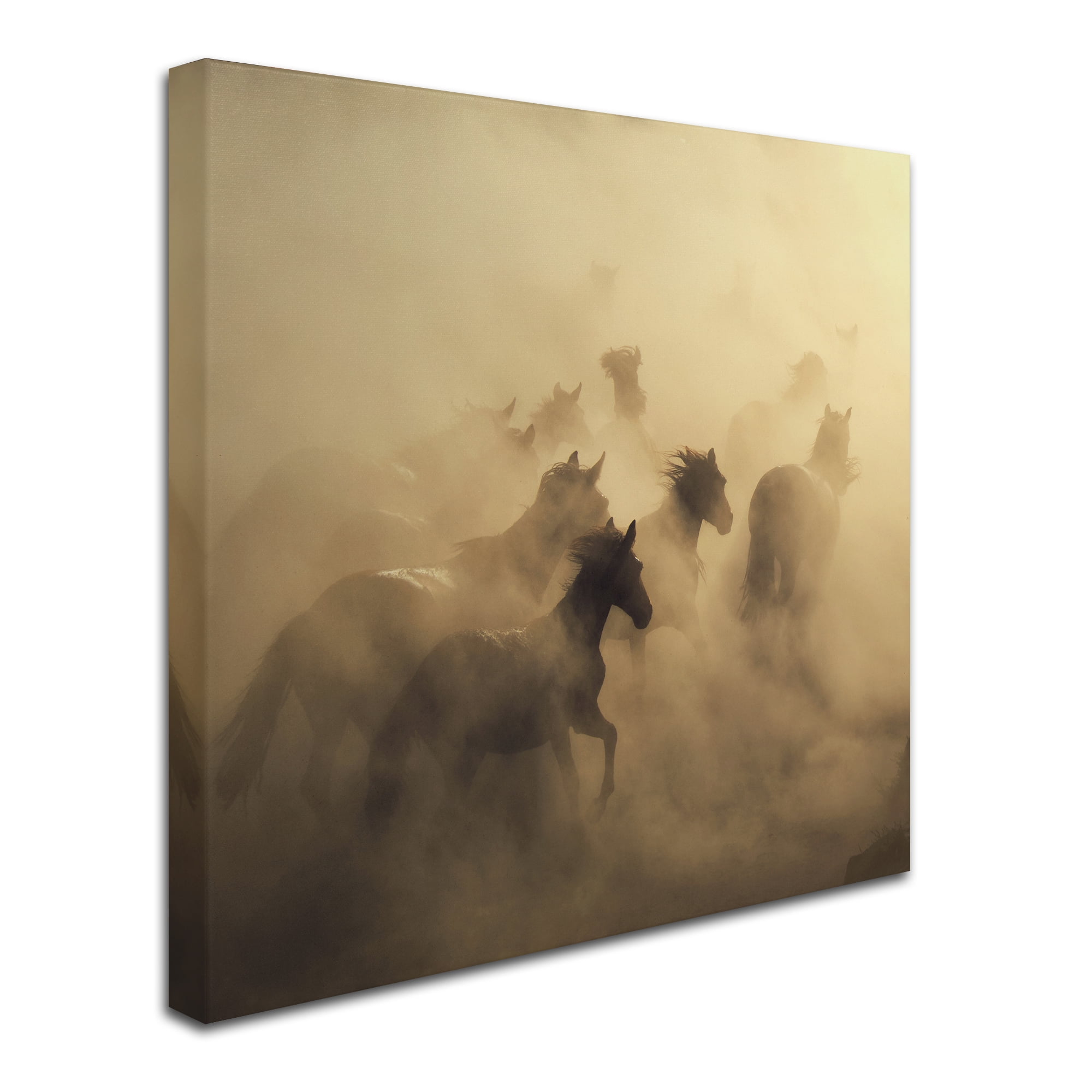 Trademark Fine Art 'Migration Of Horses' Canvas Art by Huseyin Ta?k?n