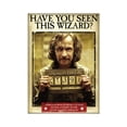 thumbnail image 1 of Harry Potter Harry Potter 796212 Sirius Recherché Affiche Aimant, 1 of 1